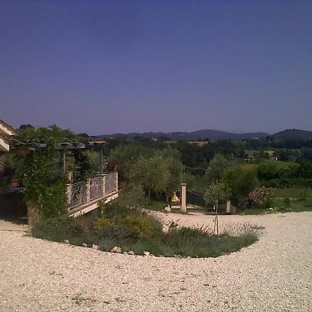 Capo Di Sopra *